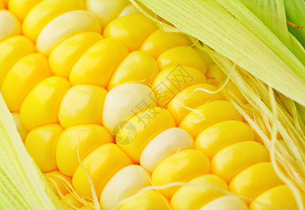 玉米角营养蔬菜植物食谱早餐小吃饮食内核农场市场图片
