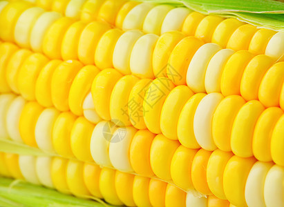 玉米角蔬菜金子烹饪粮食农场早餐市场场地食物饮食图片