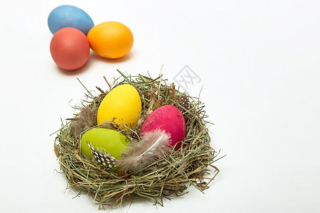 巢中的复活节鸡蛋稻草羽毛绿色红色免费黄色蓝色彩蛋盘子背景图片