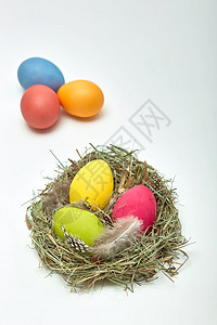 巢中的复活节鸡蛋黄色稻草羽毛蓝色绿色盘子彩蛋免费红色背景图片