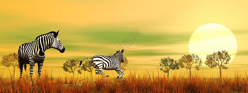 草原上的斑马天空野生动物日落晴天土地艺术大草原动物园旅行场地图片