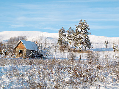 冬季风景休息蓝色晴天森林木头房子松树滑雪季节爬坡图片