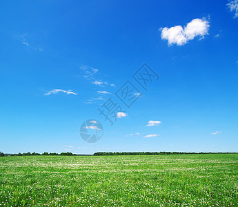 绿绿地草地蓝色场景生长植物农村天气天空阳光农场图片