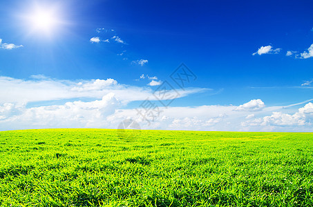 草地和完美的天空植物阳光远景场地蓝色季节国家生长地平线场景图片