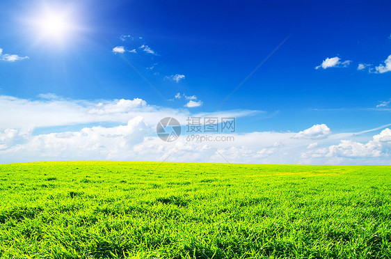 草地和完美的天空植物阳光远景场地蓝色季节国家生长地平线场景图片