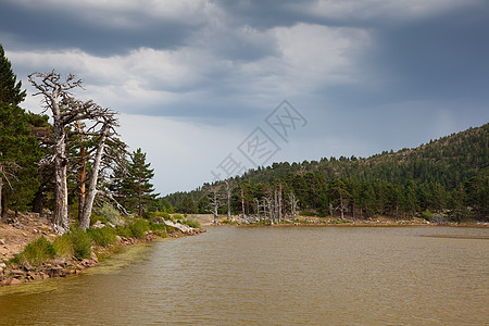西班牙Neila湖 Burgos旅行树木内拉多云鸭子旅游松树图片