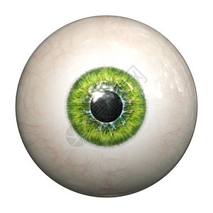 绿眼女性鸢尾花反射镜片宏观白色地球睫毛眼球球体图片
