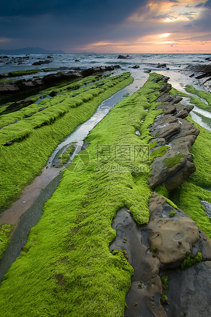 西班牙巴斯克州比兹卡亚巴里卡海滩地区海岸线海滩苔藓岩石海岸海洋图片