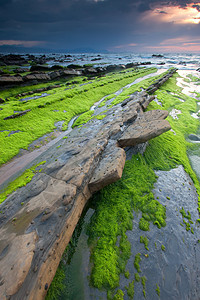 西班牙巴斯克州比兹卡亚巴里卡海滩海岸线海滩地区海岸苔藓岩石海洋图片