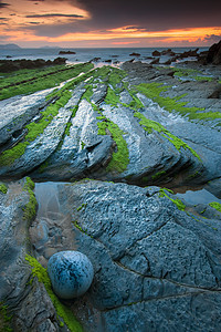 西班牙巴斯克州比兹卡亚巴里卡海滩海岸线海岸海滩地区岩石海洋苔藓图片