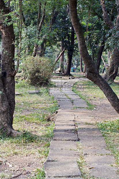 公园通道植物风景荒野国家草地生长季节车道踪迹花园图片