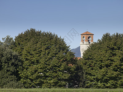 高高的树木覆盖着教堂 在托斯卡纳图片