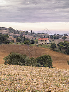 在 Tuscany 中的字段视图图片