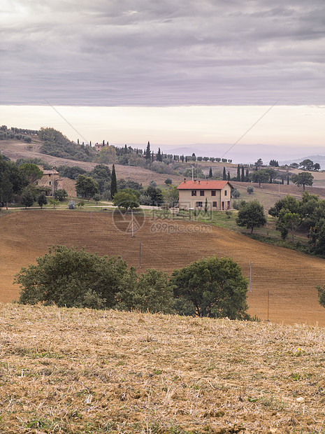 在 Tuscany 中的字段视图图片