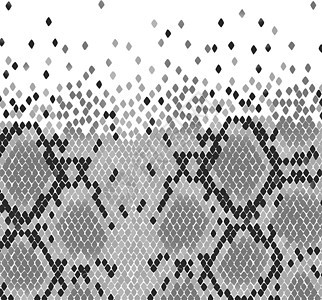 蛇皮捕食者打印灰色异国模仿菱形爬虫皮肤情调图片