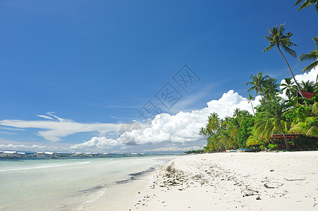 美丽的海滩边缘蓝色荒野海浪棕榈地平线热带海景天空旅行图片