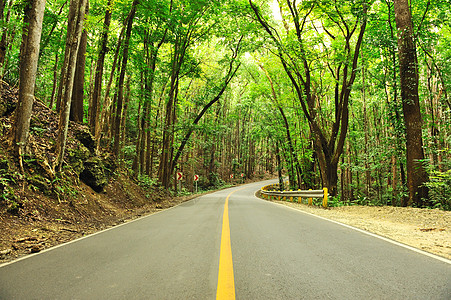 公路高速公路土地风景热带运输森林场景绿色沥青乡村车道图片
