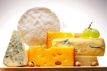 各种奶酪种类静物羊乳食物黄色奶制品产品蓝色小吃模具白色图片