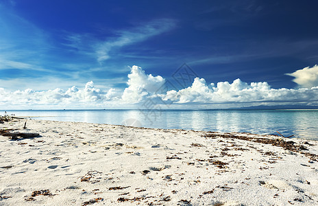 美丽的海滩海浪边缘风景热带海景蓝色海洋假期荒野海岸线图片