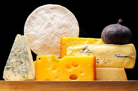 各种奶酪种类产品模具羊乳小吃白色奶制品食物静物黄色蓝色背景图片