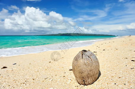 美丽的海滩风景海景地平线蓝色海浪海洋荒野冲浪海岸线椰子图片