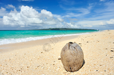 美丽的海滩边缘海浪海洋荒野椰子假期海景旅行处女风景图片