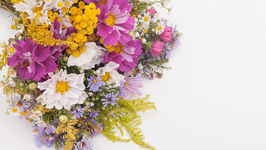 野生夏夏月花花雏菊野花植物花朵花瓣花瓶季节花束荒野投手图片