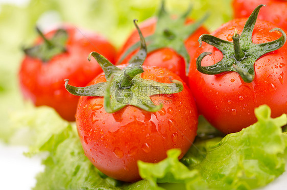 黄瓜和西红柿准备吃沙拉烹饪白色茶点食物绿色团体感恩盘子蔬菜饮食图片