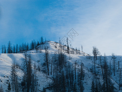 昆鲁普斯不列颠哥伦比亚的雪山坡天空森林小路国家丘陵农村乡村季节木头山坡图片