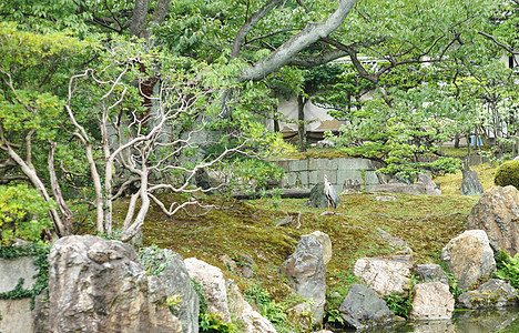 日本日本公园树木古董将军休息传统松树城市建筑学地标宗教图片
