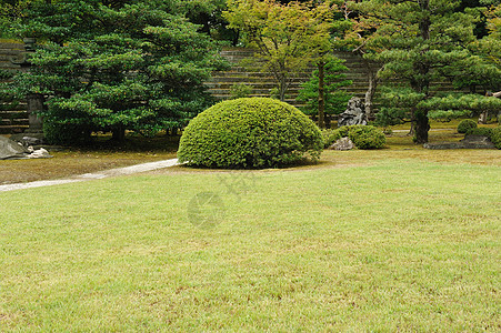 日本日本公园建筑学古董花园木头文化宗教旅行传统松树休息图片