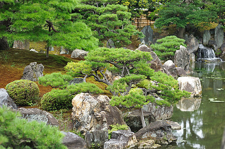 日本日本公园文化石头休息古董松树树木宗教旅行地标城市图片