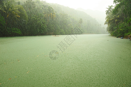 河流上方热带雨雨林森林气候树木溪流叶子热带环境绿色风景图片