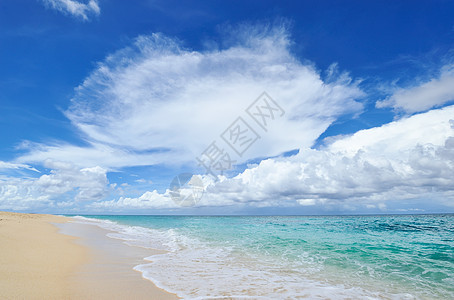 美丽的海滩海岸线冲浪风景地平线旅行蓝色处女海浪海洋天空图片