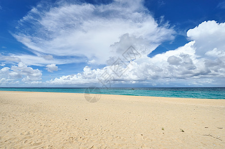 美丽的海滩海浪处女蓝色冲浪假期地平线海洋风景天空热带图片
