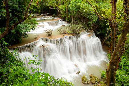 热带热带瀑布森林叶子气候天堂衬套溪流丛林公园旅行木头图片