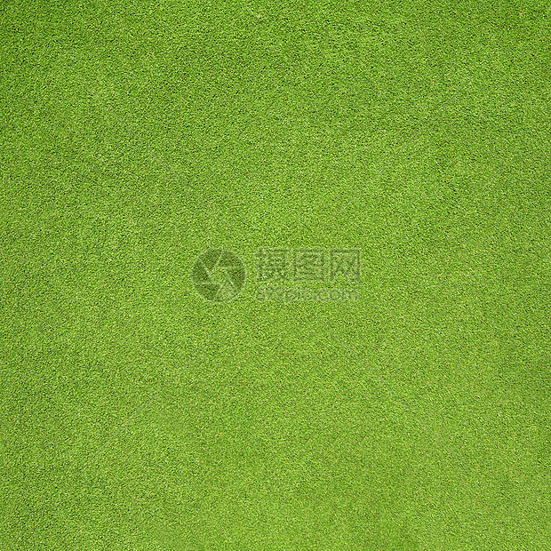 青草花园草皮体育场植物地面绿色足球场地草地娱乐图片