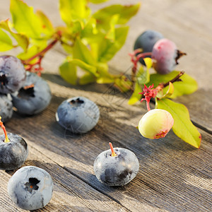木制桌上的蓝莓木头水果蓝色桌子浆果叶子覆盆子食物团体图片