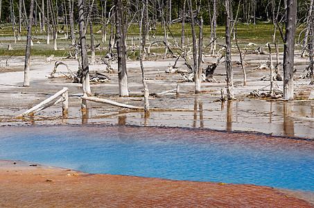 美国怀俄明黄岩国家公园黑色火山乳白色盆地喷泉黑沙地热水池图片