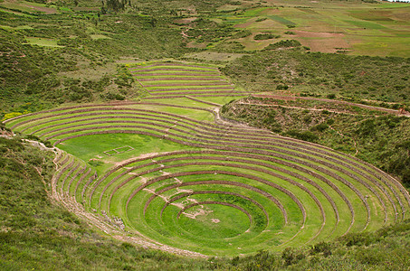 秘鲁莫雷的Inca农林图片