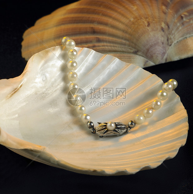 贝壳和珍珠项链图片