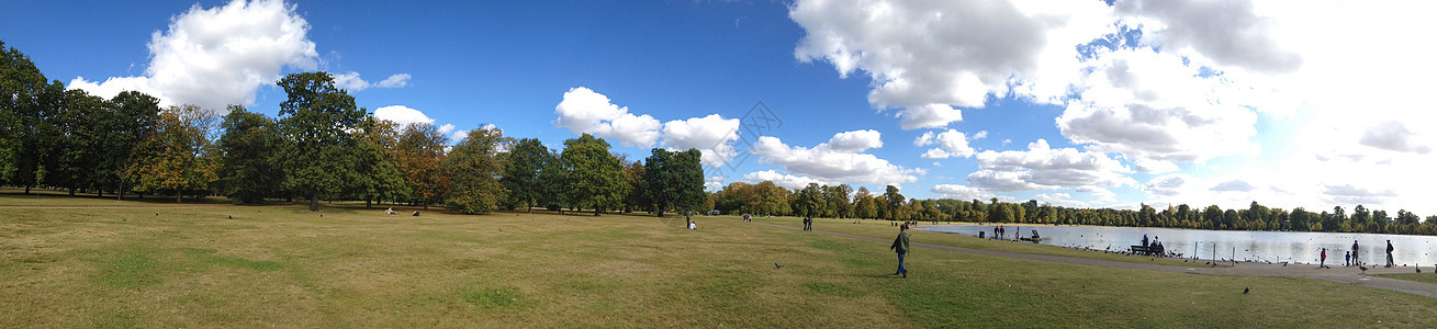 伦敦海德公园全景叶子木头金子蓝色季节森林英语植被城市王国图片