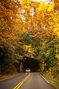蓝色山脊公园地道隧道大路松树风景天空蓝色森林国家叶子旅行山脉图片