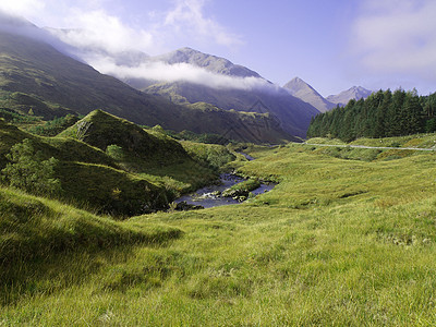 山的绿草墙纸岩石晴天生态石头环境风景蓝色流动叶子图片