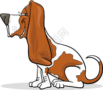 Basset 猎犬狗漫画插图卡通片绘画犬类白色猎犬吉祥物棕色宠物小狗尾巴图片