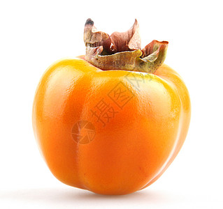 persimmon 半西蒙情调白色橙子团体绿色热带异国叶子柿子水果图片