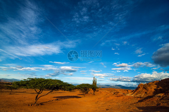 干旱沙漠景观晴天天空旅行风化风景旅游灌木环境地平线土地图片