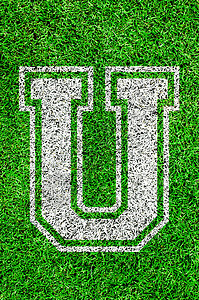 绿草上的英文字母h草地场地活力字体公园体育场生长运动足球操场背景图片