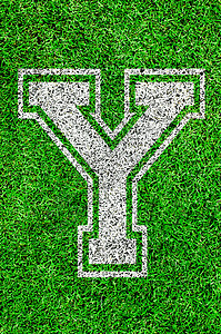 绿草上的英文字母h场地生长足球院子分数活力操场草地字体小路图片