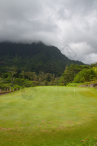 美丽的高尔夫高尔夫球赛推杆雨林热带运动旗帜球道旅行圆形植被闲暇图片